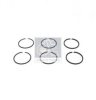 DT 1.10067 Piston Ring Set, compressor